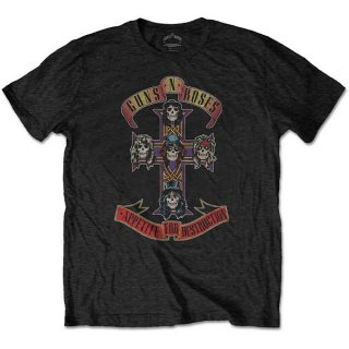 GUNS N' ROSES Appetite For Destruction 2, T<img class='new_mark_img2' src='https://img.shop-pro.jp/img/new/icons5.gif' style='border:none;display:inline;margin:0px;padding:0px;width:auto;' />