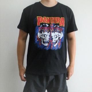 PANTERA Domination, T<img class='new_mark_img2' src='https://img.shop-pro.jp/img/new/icons5.gif' style='border:none;display:inline;margin:0px;padding:0px;width:auto;' />