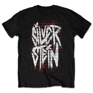 SILVERSTEIN Graffiti, Tシャツ<img class='new_mark_img2' src='https://img.shop-pro.jp/img/new/icons5.gif' style='border:none;display:inline;margin:0px;padding:0px;width:auto;' />