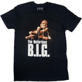 THE NOTORIOUS B.I.G. Reachstrings, T