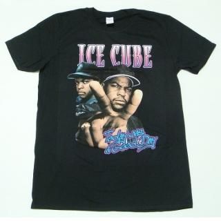 ICE CUBE Today Was A Good Day, T