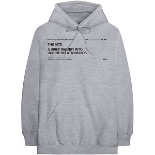THE 1975 Abiior Version 2 Grey. パーカー