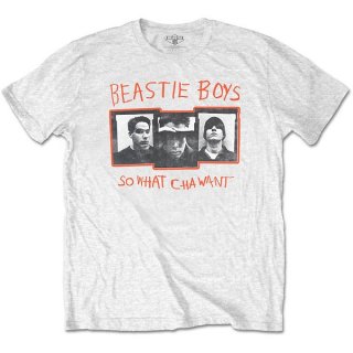 THE BEASTIE BOYS So What Cha Want, T