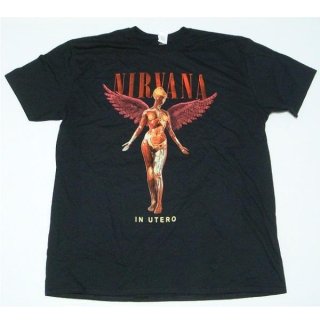 ¨ǼNIRVANA In Utero, T