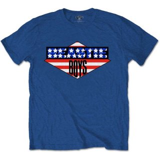 THE BEASTIE BOYS American Flag, Tシャツ