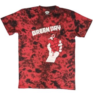 GREEN DAY American Idiot Wash Collection, T