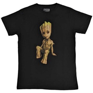 GUARDIANS OF THE GALAXY Groot Perch, T