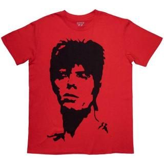 DAVID BOWIE 1973 Monochrome, T