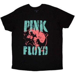 PINK FLOYD Big Pig, T