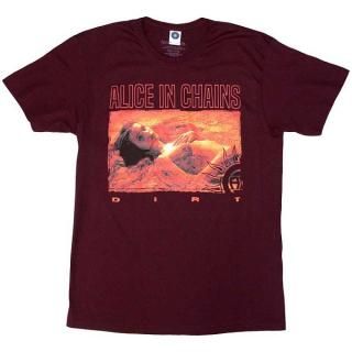 ALICE IN CHAINS Dirt Orange, T