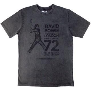 DAVID BOWIE Rainbow Theatre, T