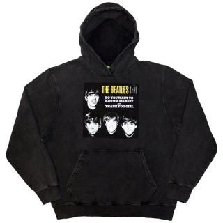 THE BEATLES Vj Secret Sleeve, ѡ