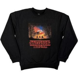 STRANGER THINGS Friends Don't Lie, åȥ