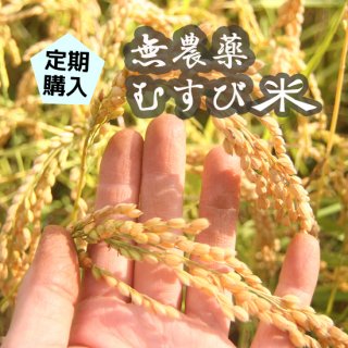 定期購入■無農薬むすび米