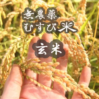無農薬むすび米(玄米)