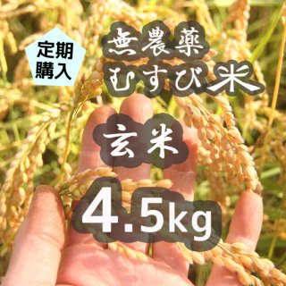 定期購入■無農薬むすび米(玄米)4.5kg