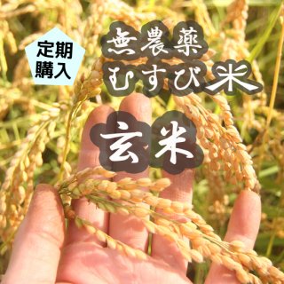 定期購入■無農薬むすび米(玄米)
