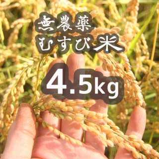 無農薬むすび米4.5kg
