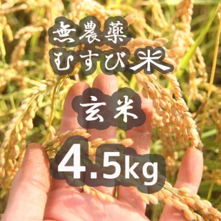 無農薬むすび米(玄米)4.5kg