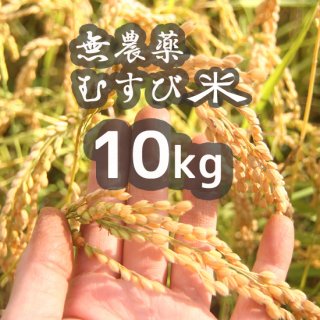 無農薬むすび米10kg