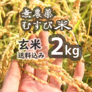 無農薬むすび米玄米2kg【送料込】