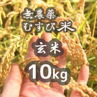 ̵ह()10kg