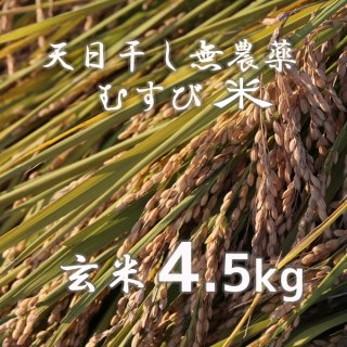 天日干し無農薬むすび米(玄米)4.5kg