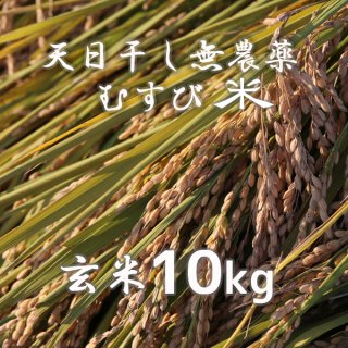天日干し無農薬むすび米(玄米)10kg