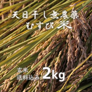 天日干し無農薬むすび米(玄米)2kg【送料込み】