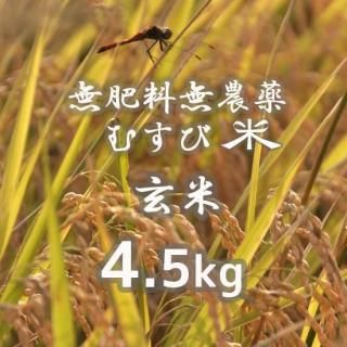 ̵̵ह() 4.5kg