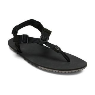 XERO SHOES 塼<br>HTM M's H-ȥ쥤<br>