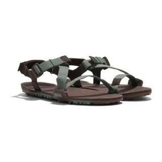 XERO SHOES 塼<br>TTM M's Zȥ쥤EV<br>