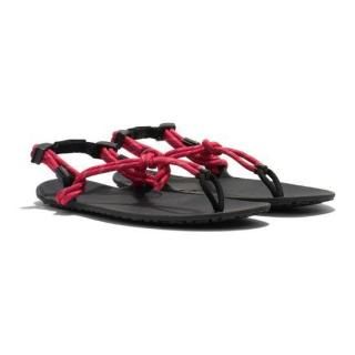 XERO SHOES 塼<br>GEN ͥ<br>