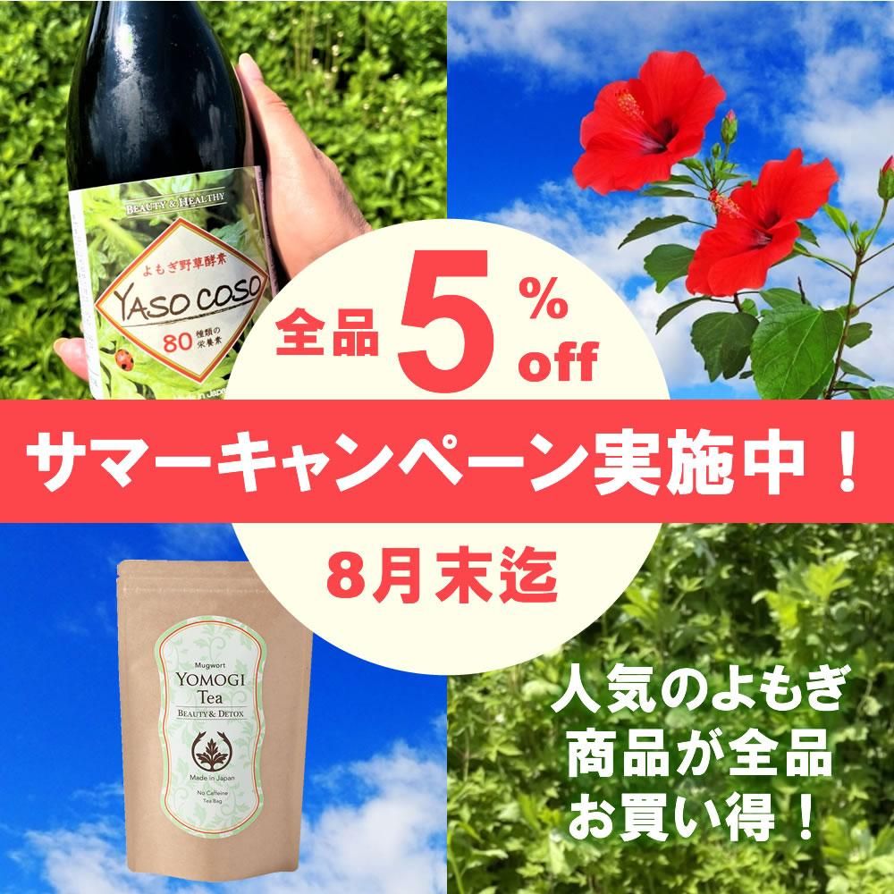 サマーキャンペーン