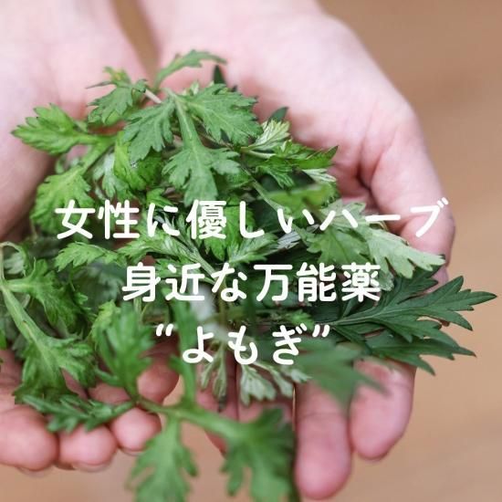 よもぎ野草酵素 YASOCOSO 720ml 2本 - よもぎLaboオンラインショップ