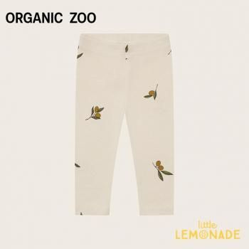 organic zoo Olive Garden Leggings 6-12/1-2/2-3/3-4С ꡼ 쥮 ܥȥॹ  LLO CORE