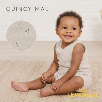 Quincy Mae （クインシーメイ） - Little Lemonade Days | リトル 