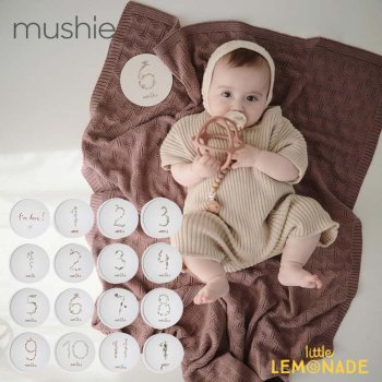 Mushie ޥ륹ȡ󥫡 Milestone Cards ॷ ĹϿ  ե ֤ ٥ӡ ܥ˥