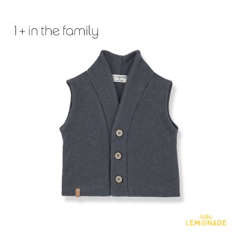 1+ in the family FABIO grey  12 ٥ 졼 Ť vest ꥵǺ YKZ ѥ 22AW 饹ȥ SALE