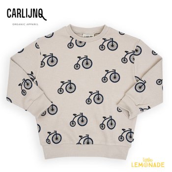 <img class='new_mark_img1' src='https://img.shop-pro.jp/img/new/icons1.gif' style='border:none;display:inline;margin:0px;padding:0px;width:auto;' />【CarlijnQ】 Velocipede - sweater 【86/92・98/104・110/116】  (VLC151)  セーター 三輪車 総柄 トレーナー AW23 アパレル YKZ