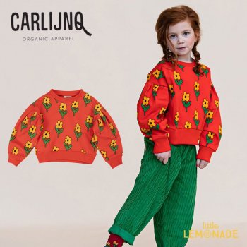 <img class='new_mark_img1' src='https://img.shop-pro.jp/img/new/icons1.gif' style='border:none;display:inline;margin:0px;padding:0px;width:auto;' />CarlijnQFlowers - girls sweater 86/9298/104 å ȥåץ ե ( AW24-FLW017 ) KTZ