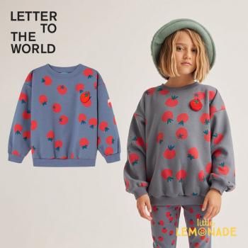 LETTER TO THE WORLD ALEIX SWEAT6-7С STORM å ȥޥ AW24SALEm/SWT/035