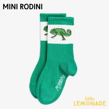 Mini RodiniLizard 1-pack socks 20/2324/2728/3132/35 쥪 (2526011475) SS25 KTZ