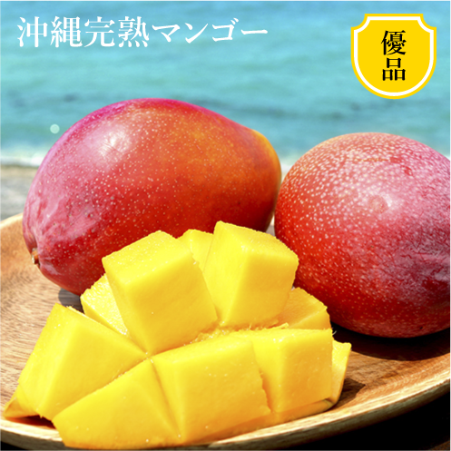 沖縄完熟マンゴー<br>優品2kg(3~6玉)<br>産地直送<br>【2022年は終了しました】