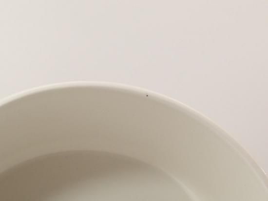 ガーデニア(Gardenia) / ボウル 19cm | アラビア(ARABIA)の