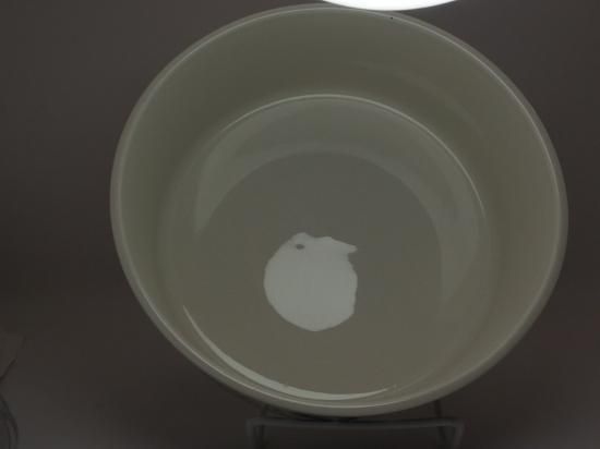 ガーデニア(Gardenia) / ボウル 19cm | アラビア(ARABIA)の