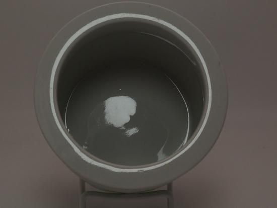 ポモナ(Pomona)リンゴ / ジャムポット | アラビア(ARABIA)の