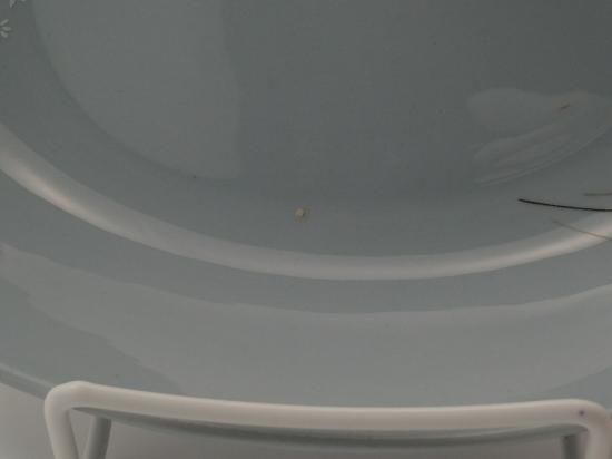 ルミクッカ(Lumikukka) / オーバルプレート23cm｜アラビア