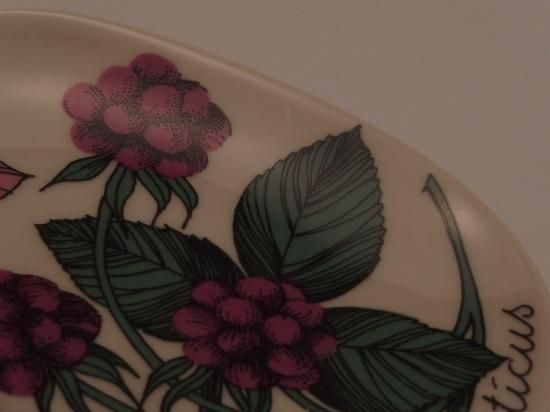 ARABIA エステリ・トムラ ボタニカ \"Rubus arcticus\" ARABIA》Botanica キイチゴ (rubus arcticus) 【Esteri