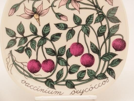 ARABIAエステリ・トムラ ボタニカ\"Vaccinium oxycoccos\" ARABIAエステリ・トムラ ボタニカ